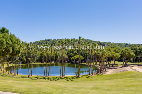 Revente - Villa - Orihuela - Villamartin