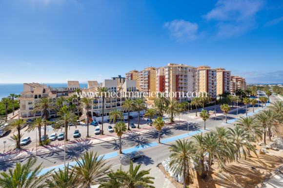 Sala - Lägenhet - La Manga del Mar Menor - La Manga