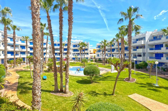Sala - Lägenhet - Orihuela Costa - Playa Flamenca