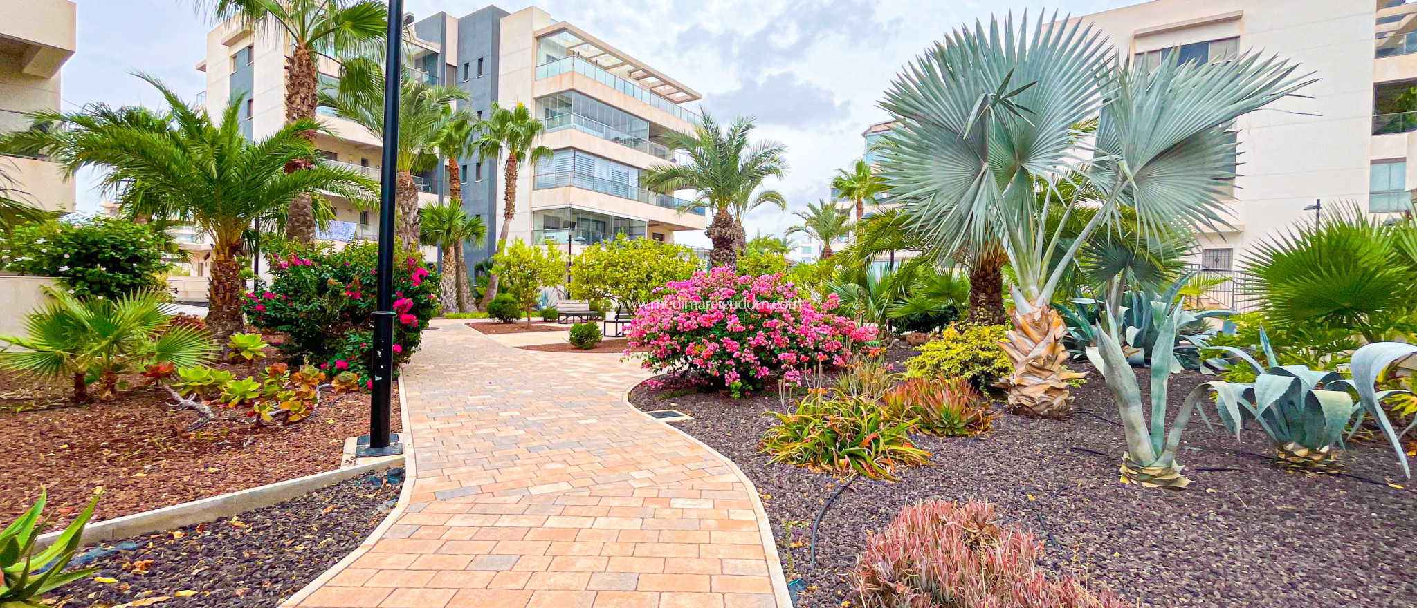 Sala - Lägenhet - Orihuela - Orihuela Costa