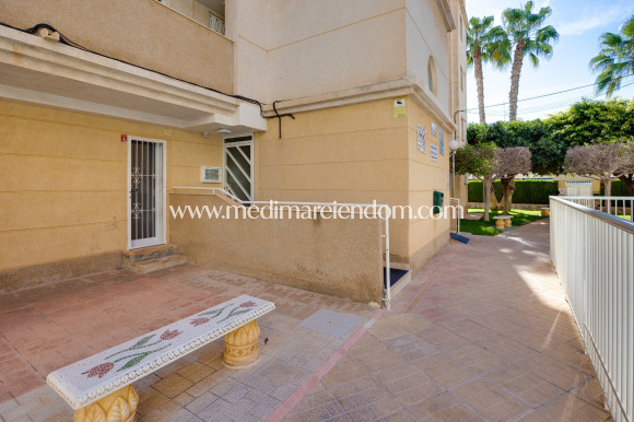 Sala - Lägenhet - Torrevieja - Playa Del Cura