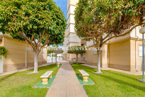 Sala - Lägenhet - Torrevieja - Playa Del Cura