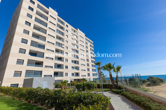 Sala - Lägenhet - Torrevieja - Punta Prima