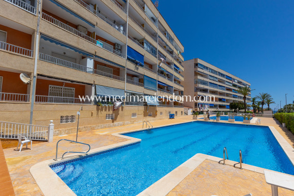 Sala - Lägenhet - Torrevieja - Rocio del Mar