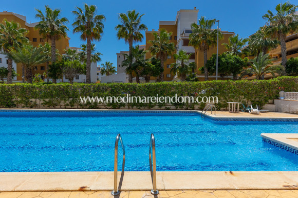 Sala - Lägenhet - Torrevieja - Rocio del Mar