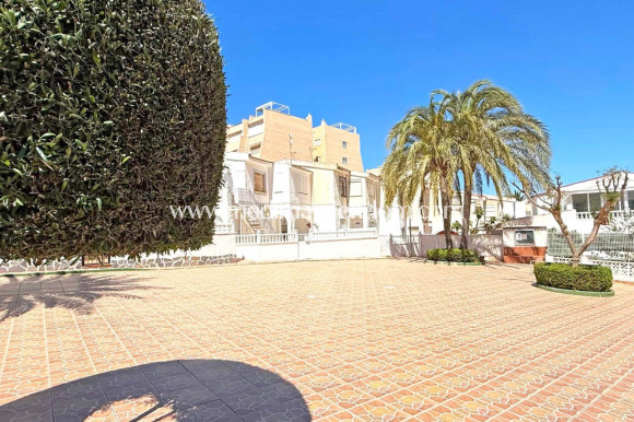 Sala - Lägenhet - Torrevieja - Torrelamata - La Mata