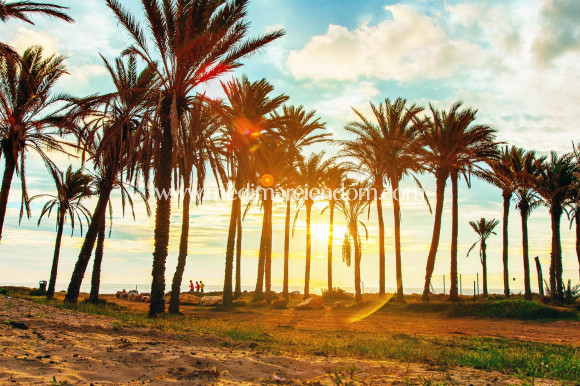 Sala - Penthouse - Punta Prima