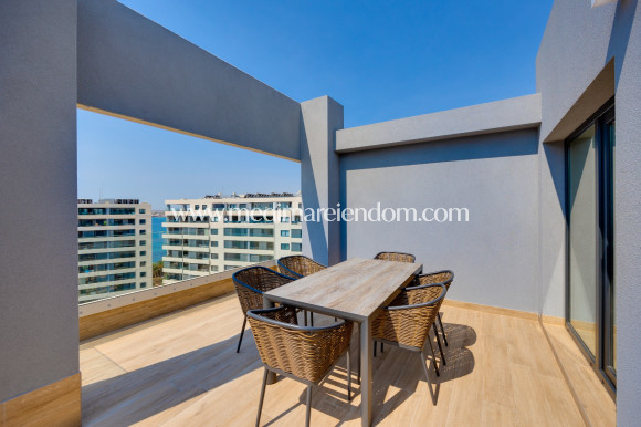 Sala - Penthouse - Punta Prima