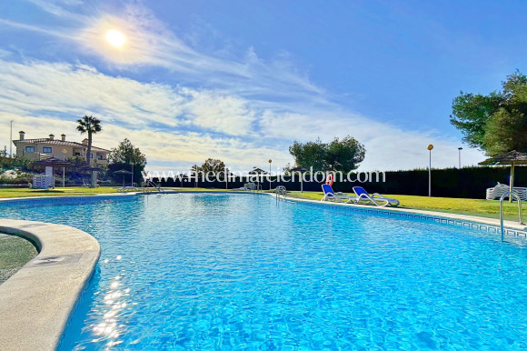 Sala - Radhus - Orihuela - Orihuela Costa