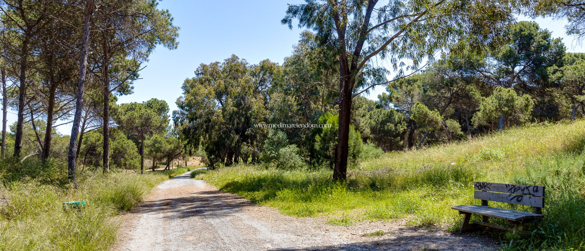Sala - Villa - Formentera del Segura - Formentera De Segura