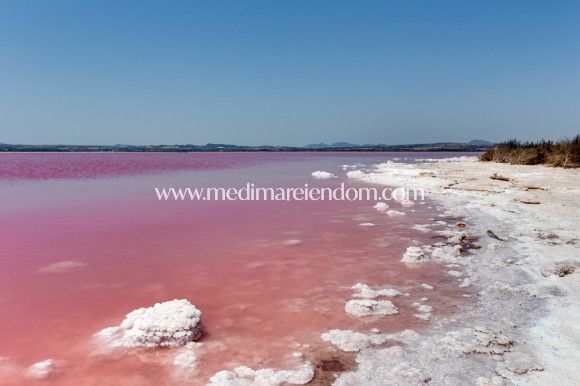 Sala - Villa - Torrevieja - El Chaparral