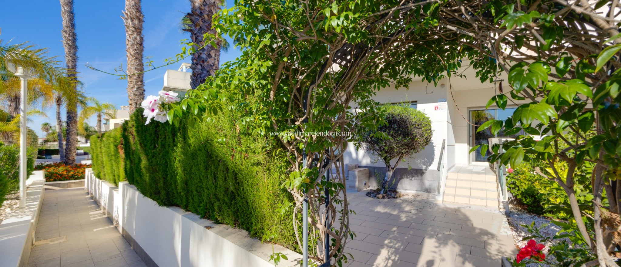 Tweedehands - Appartement - Ciudad Quesada