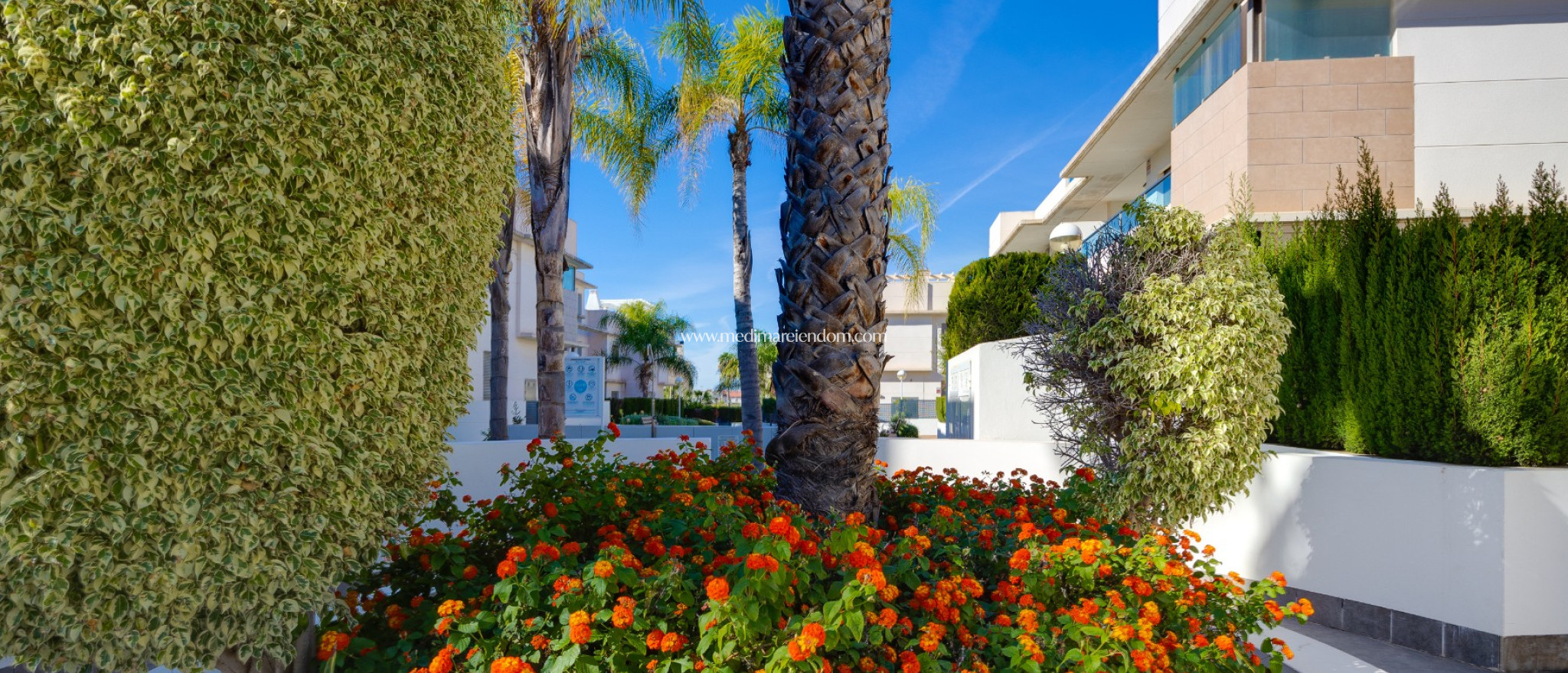 Tweedehands - Appartement - Ciudad Quesada