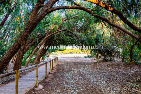 Tweedehands - Appartement - Ciudad Quesada