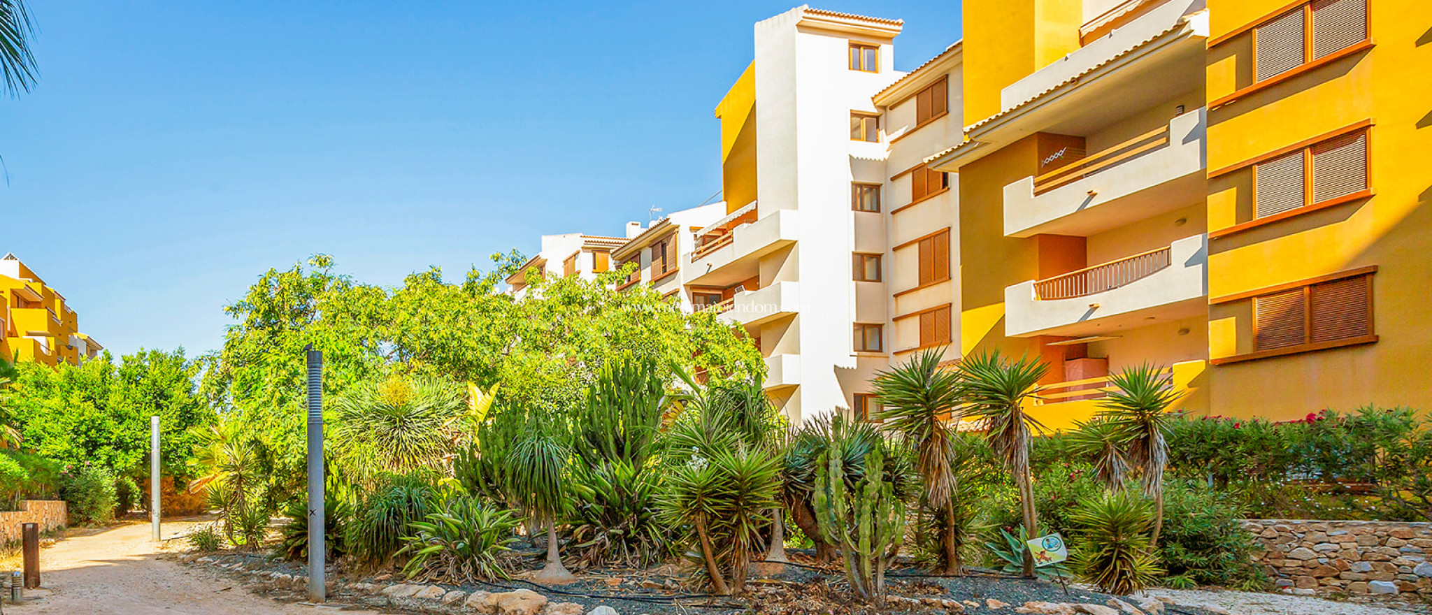 Tweedehands - Appartement - Punta Prima - La Recoleta