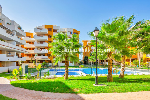 Tweedehands - Appartement - Punta Prima - La Recoleta