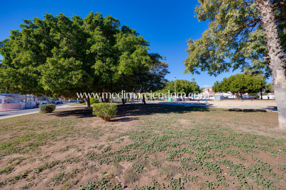 Tweedehands - Appartement - Torrevieja - Playa De Los Locos