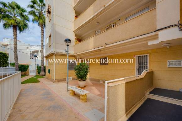 Tweedehands - Appartement - Torrevieja - Playa Del Cura