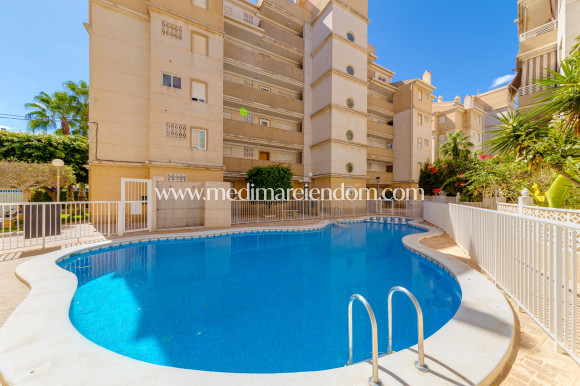 Tweedehands - Appartement - Torrevieja - Playa Del Cura