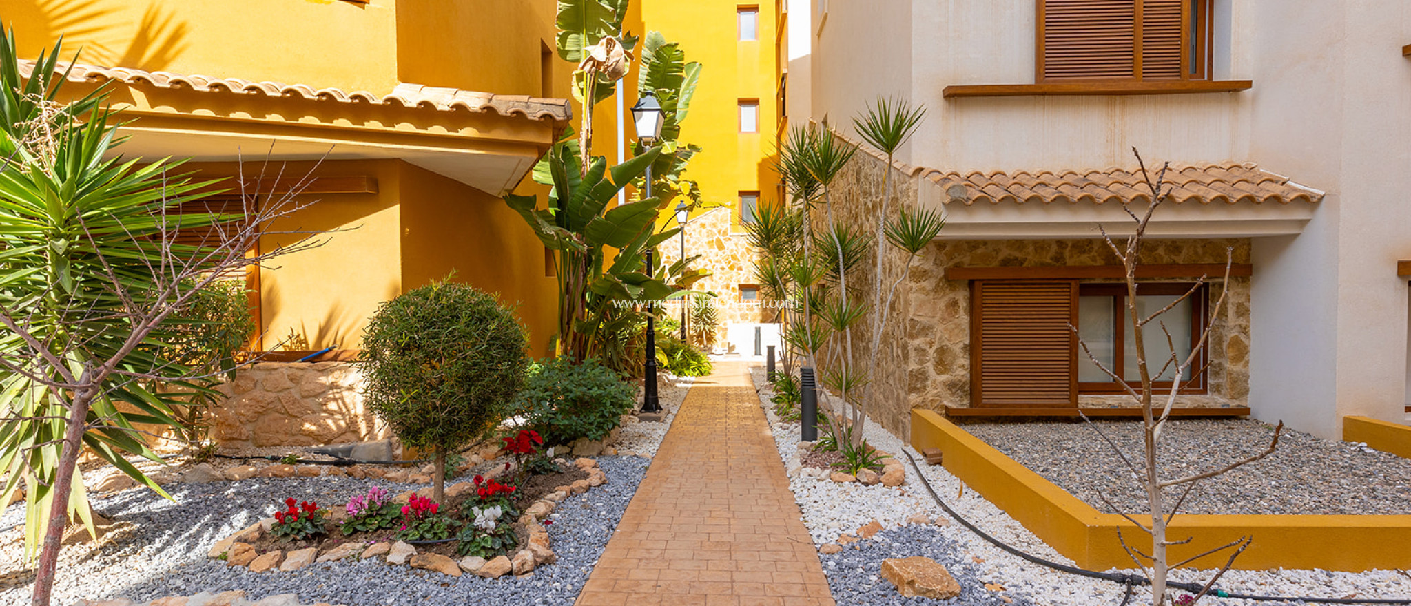 Tweedehands - Appartement - Torrevieja - Punta Prima