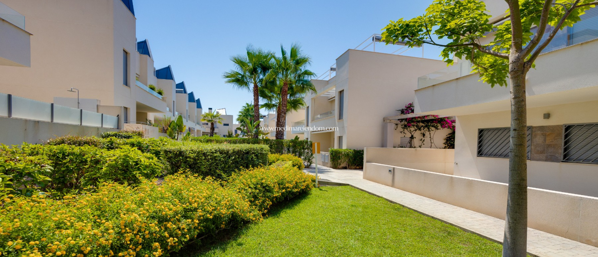 Tweedehands - Appartement - Torrevieja