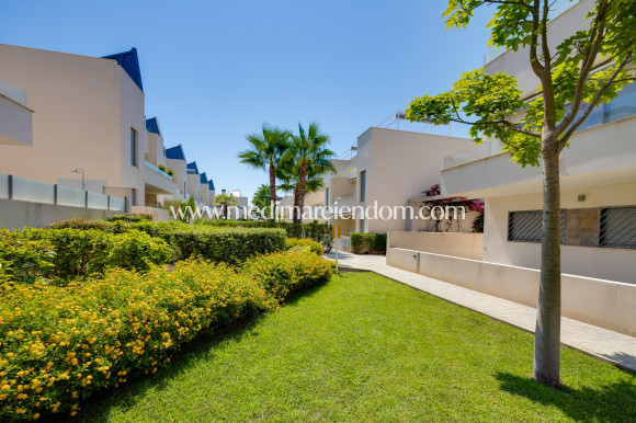 Tweedehands - Appartement - Torrevieja