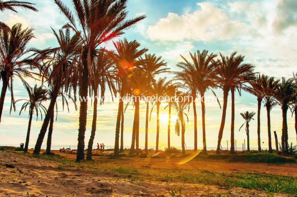 Tweedehands - Appartement - Torrevieja