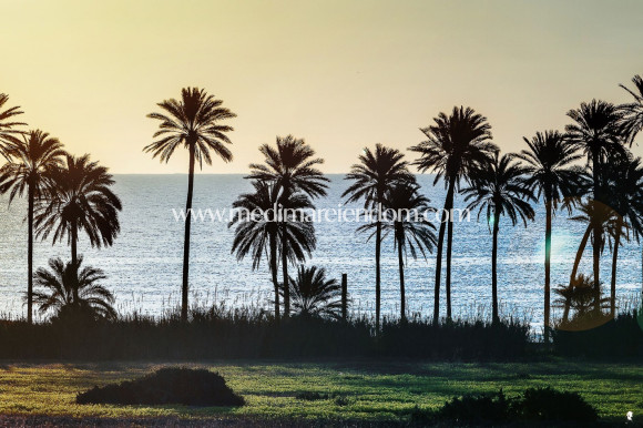 Tweedehands - Appartement - Torrevieja