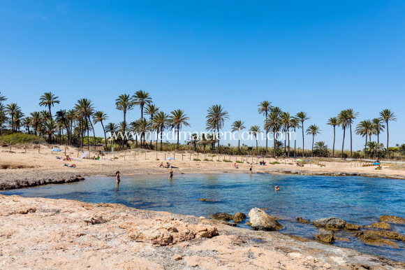 Tweedehands - Appartement - Torrevieja