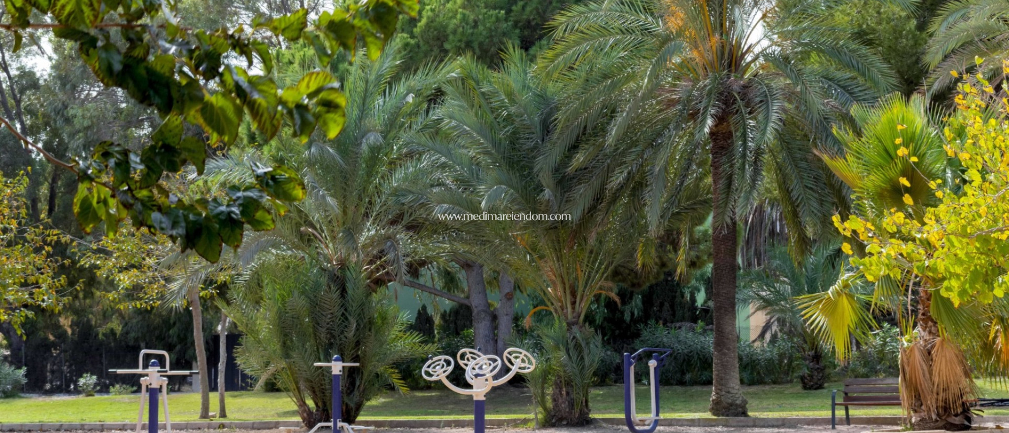 Tweedehands - Rijtjeshuis - Orihuela Costa - La Zenia