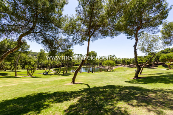 Tweedehands - Villa - Orihuela - Villamartin
