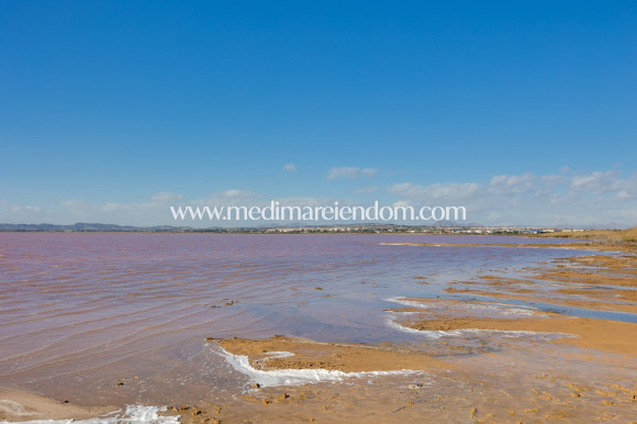 Tweedehands - Villa - Torrevieja - El Chaparral