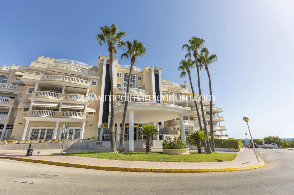 Verkauf - Apartment - Guardamar del Segura - Guardamar Del Segura