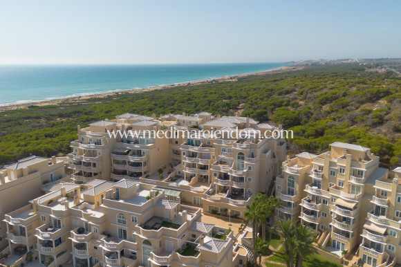 Verkauf - Apartment - Guardamar del Segura - Guardamar Del Segura
