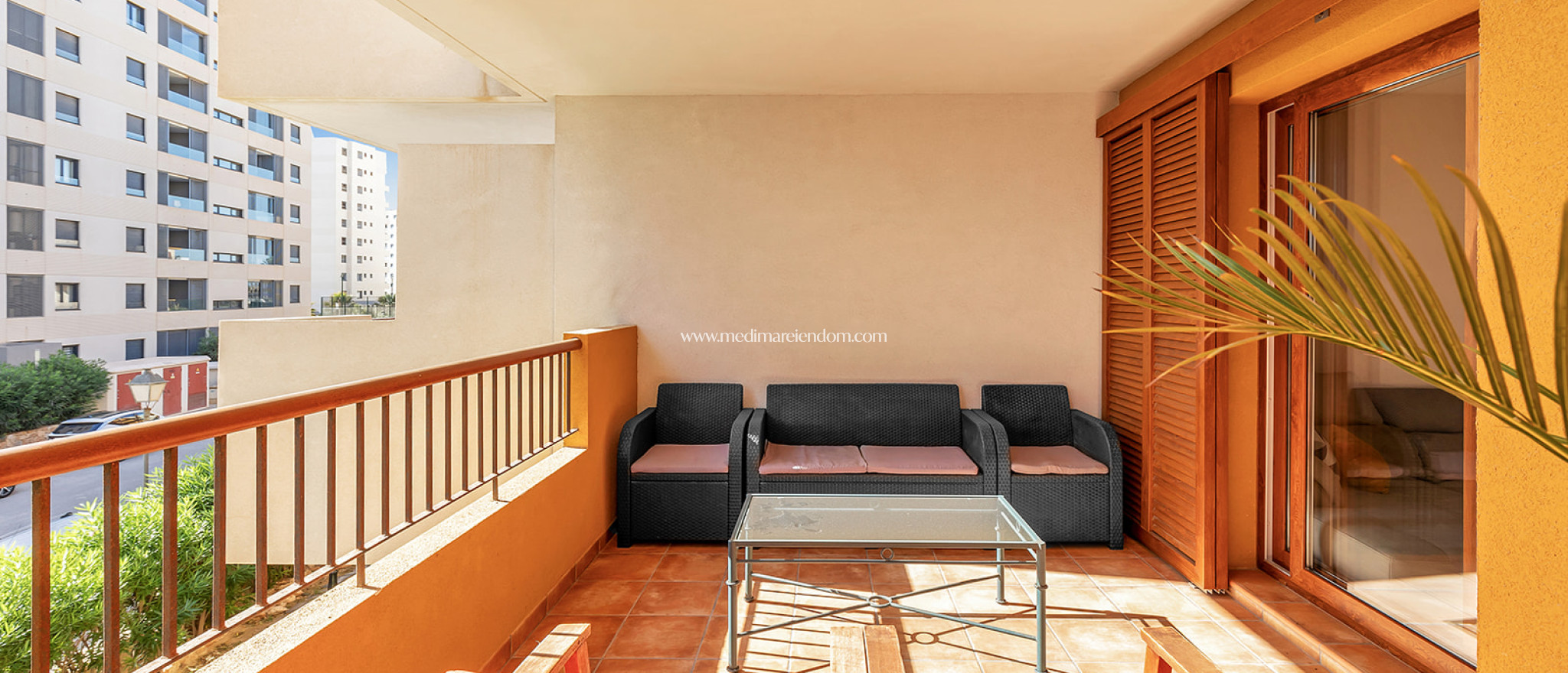 Verkauf - Apartment - Punta Prima - La Recoleta