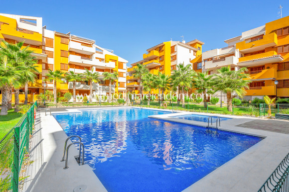 Verkauf - Apartment - Punta Prima - La Recoleta