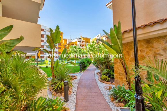 Verkauf - Apartment - Punta Prima - La Recoleta