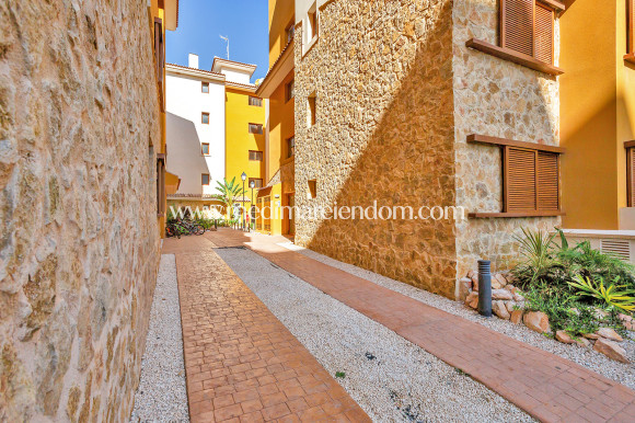 Verkauf - Apartment - Punta Prima - La Recoleta