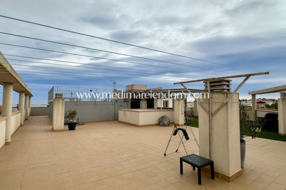 Verkauf - Apartment - San Miguel de Salinas