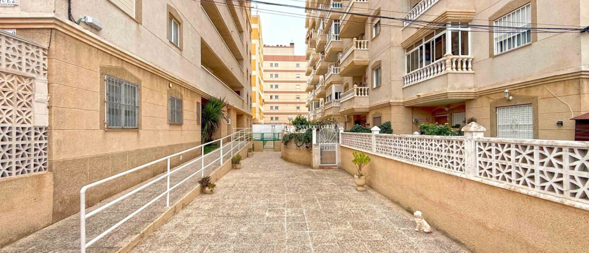 Verkauf - Apartment - Torrevieja - Nueva Torrevieja - Aguas Nuevas