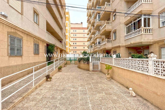 Verkauf - Apartment - Torrevieja - Nueva Torrevieja - Aguas Nuevas