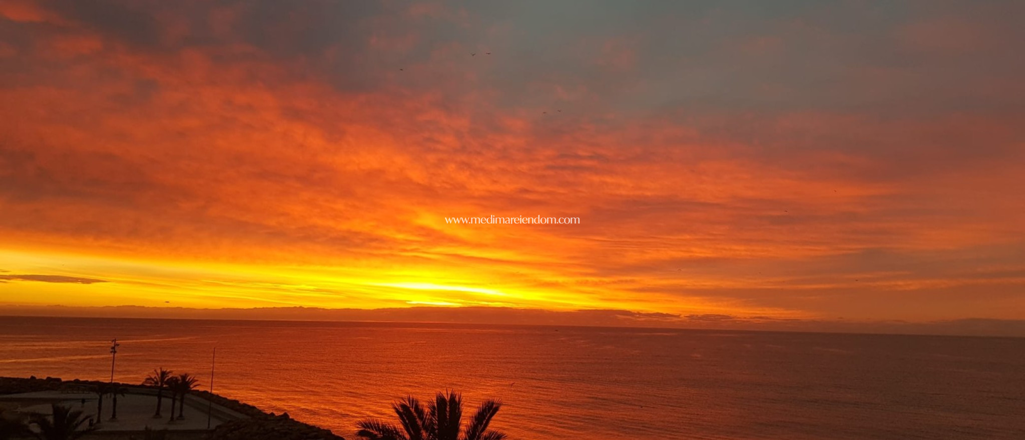 Verkauf - Apartment - Torrevieja - Playa Del Cura