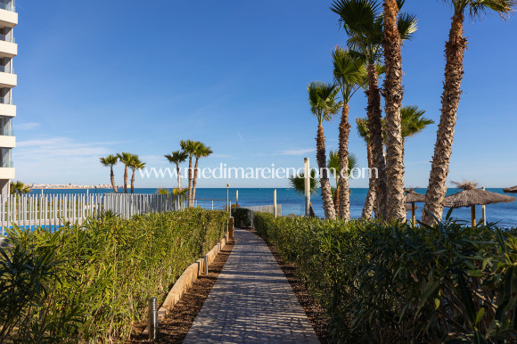 Verkauf - Apartment - Torrevieja - Punta Prima
