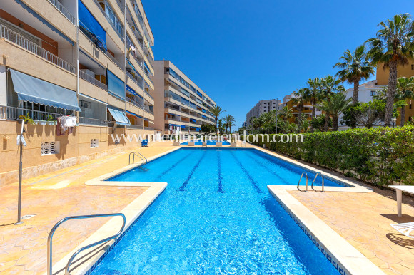 Verkauf - Apartment - Torrevieja - Rocio del Mar