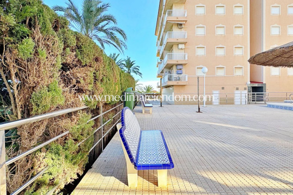 Verkauf - Apartment - Torrevieja - Rocio del Mar
