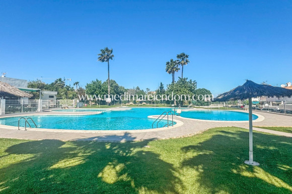Verkauf - Bungalow - Torrevieja - Los Balcones - Los Altos del Edén