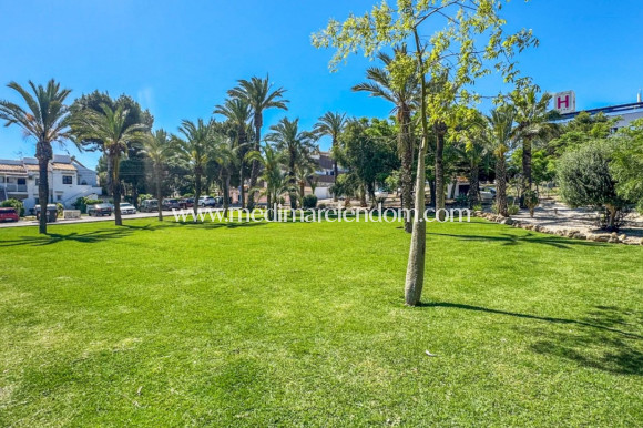 Verkauf - Bungalow - Torrevieja - Los Balcones - Los Altos del Edén