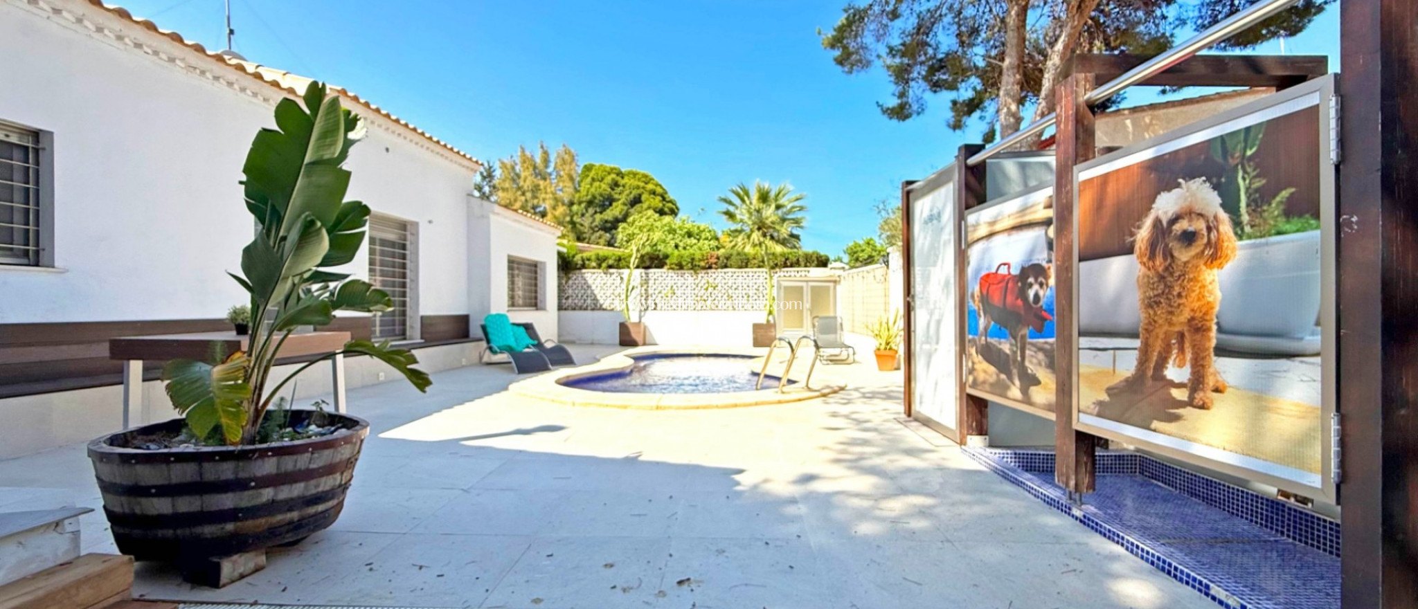 Verkauf - Freistehende Villa - Orihuela Costa - Punta Prima