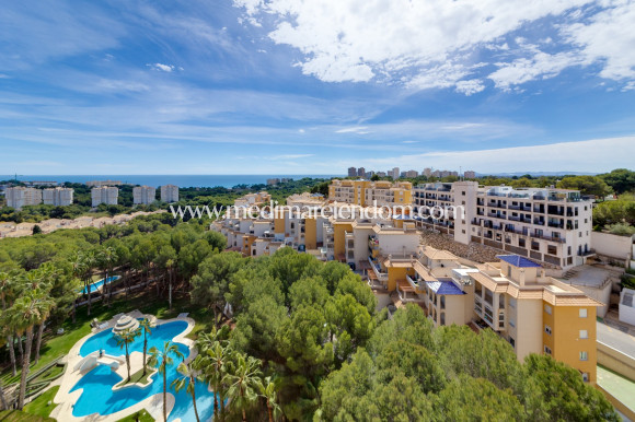 Verkauf - Penthouse - Orihuela Costa - Campoamor