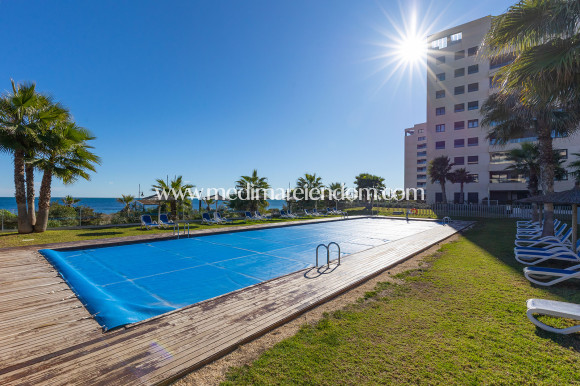 Verkauf - Penthouse - Torrevieja - Punta Prima